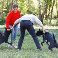 必ず見極めて！犬が…