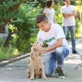 保護施設の犬の夜間…