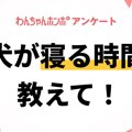 【アンケート実施中…