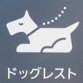 休日のワンコ同伴シ…