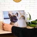 愛犬が亡くなった後…