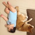 寄り添って寝転がる…