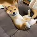 笑顔を浮かべ当たり…