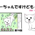 ちーちゃんですけど…