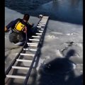 凍った池に落ちた犬…
