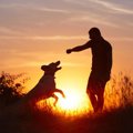「犬好きに悪い人は…