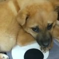 『心を閉ざしていた…