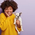 『100均』にも犬用品…