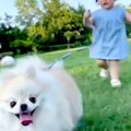2歳の女の子が、生ま…