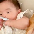 パパがいなくて寂し…
