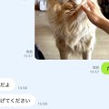 LINEで『犬にご飯を…