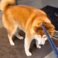 病院で診察を拒否す…