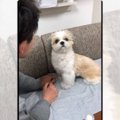 本当にパパに鼻チュ…