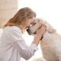 愛犬が亡くなる前に…