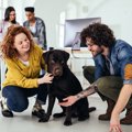 犬には苦手な『柄』…