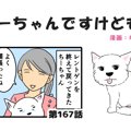 ちーちゃんですけど…