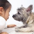 なんで？愛犬に懐い…