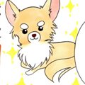 かわうそちわわ。（2…