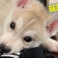 １秒たりとも見逃し…
