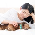 犬が床で寝る２つの…