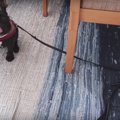 「すいません、絡ま…