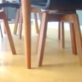 お腹を壊した犬が心…