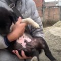 【ネパール】「噛ん…