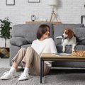 犬の問題行動はどの…