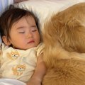 1歳の女の子が別のベ…