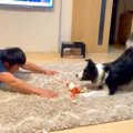 飼い主を『犬』だと…