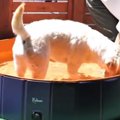 息を止めるの難しい…