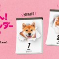あなたのペットがカ…