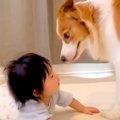 赤ちゃんと目が合わ…
