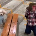 速いのはどちら！？…
