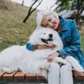 犬に押し付けてはい…