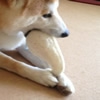 100%天然素材！ヘチ…