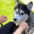 『どっちの手に入っ…
