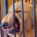 生後４ヵ月からある&…