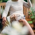 『最も寿命が長い犬…