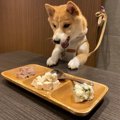 「わぁ～！」初めて…