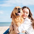 犬にまつわるジンク…