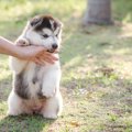 いますぐ改めたい！…
