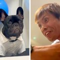 犬を飼うのに反対し…