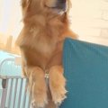 中学生の息子が帰宅→…