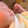 生まれたばかりの赤…