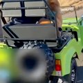 乗り物が大好きな犬…