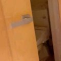叱ったらトイレへ向…