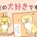 ただの犬好きです。…