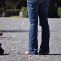 犬の散歩の仕方┃正し…