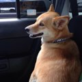 車で長距離移動の旅…